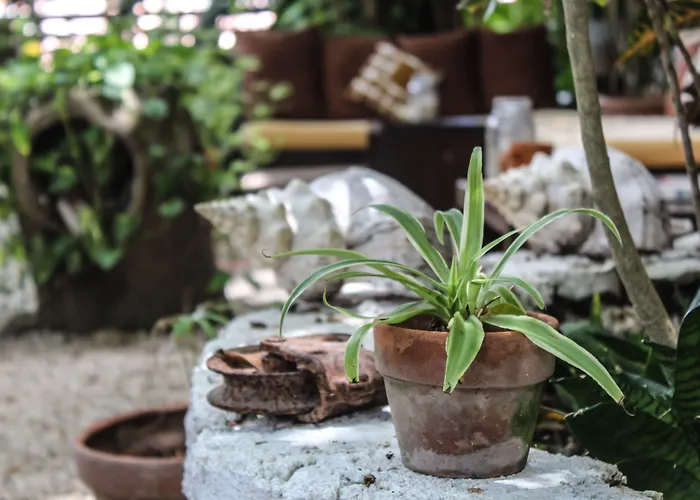 Secret Garden