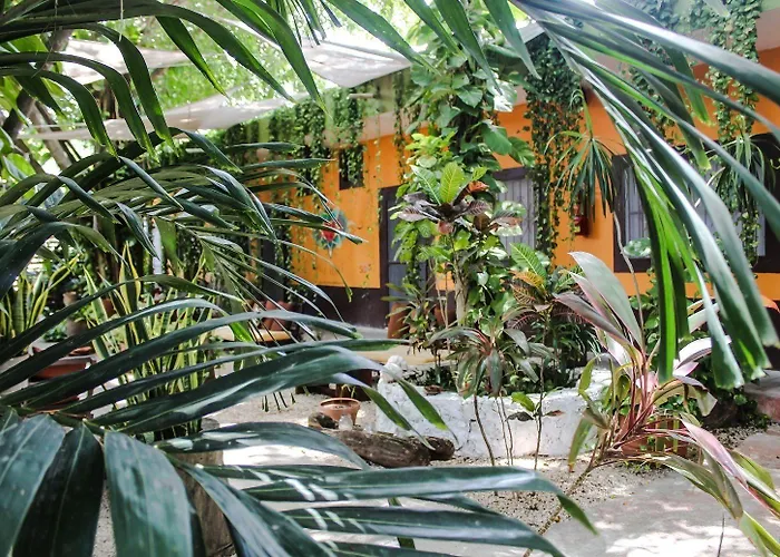 Secret Garden 3* Tulum